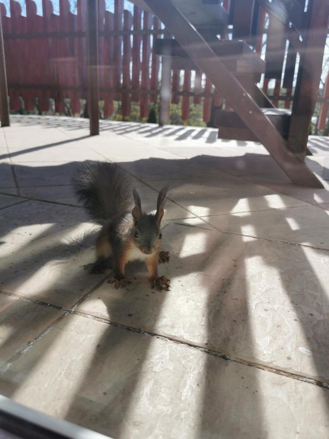 Sokristaly Vendeghaz Hotel Demjen Bagian luar foto