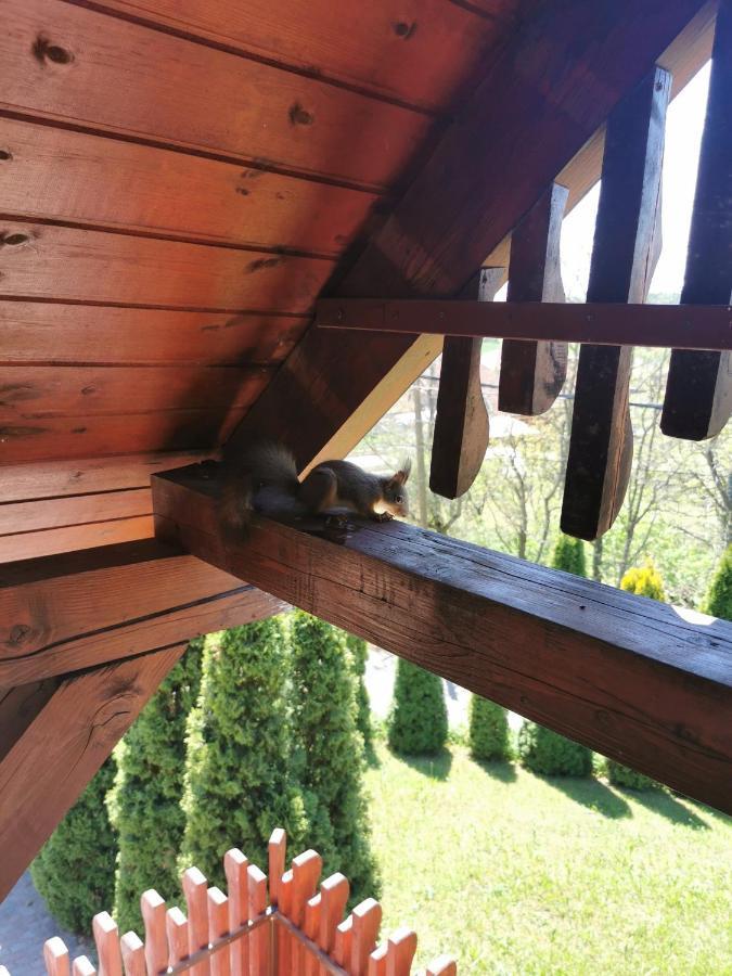 Sokristaly Vendeghaz Hotel Demjen Bagian luar foto